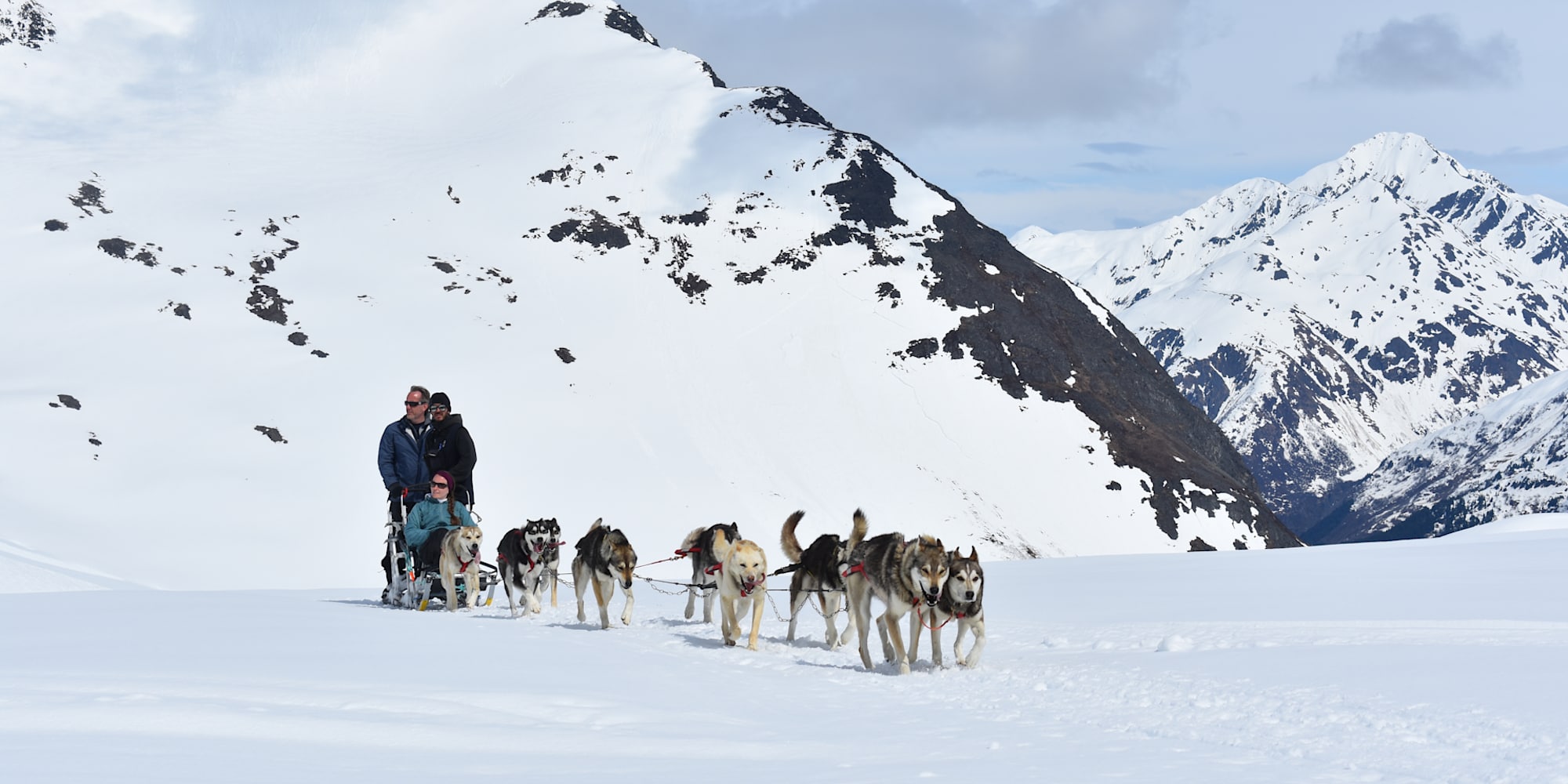 A team of sled dogs lead guests on the snow in Alaska